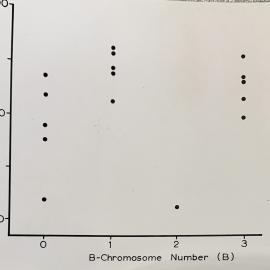 % of full stainable pollen - 2 of 2