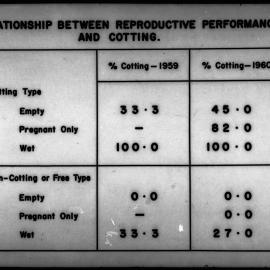 Relationship between reproductive performance and cotting