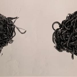 Two balls of earthworms