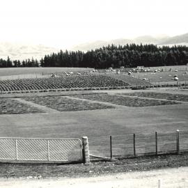 Paddocks of the Gore Research Station