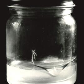 Soil Chemistry Laboratory - Jar