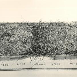 Propagation tray - 1 of 2