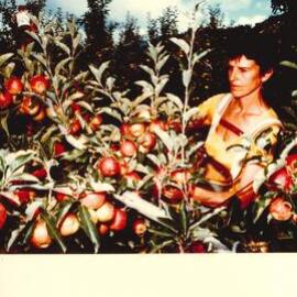 MafTech fruit - 2 of 10