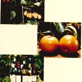 MafTech fruit - 4 of 10