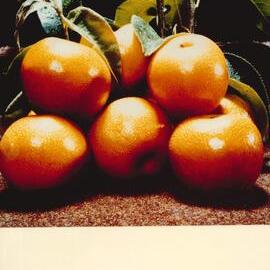 MafTech fruit - 7 of 10