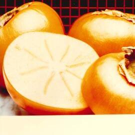 MafTech fruit - 8 of 10