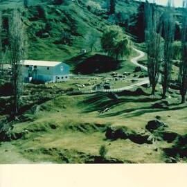 MafTech landscapes - 1 of 4