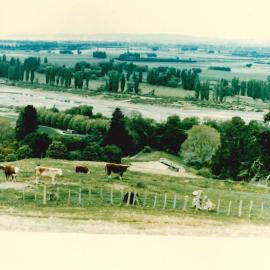 MafTech landscapes - 4 of 4