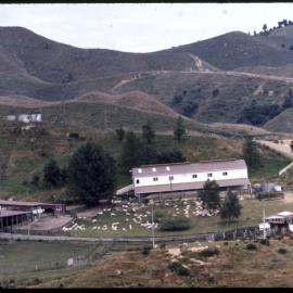 Whatawhata: aerial view of buildings and landscape