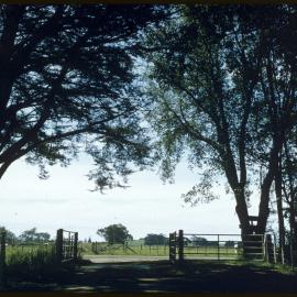 Gateway to Number 2 Dairy, Ruakura