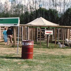 Levin Horticultural Field Day - 10 of 11