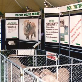 Palmerston North Show - 4 of 5