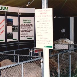 Palmerston North Show - 5 of 5