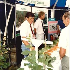 Field day carrots - 2 of 7