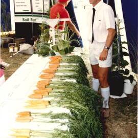 Field day carrots - 3 of 7