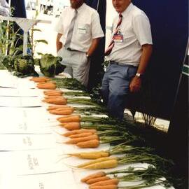 Field day carrots - 4 of 7
