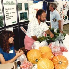 Field day pumpkins - 1 of 3