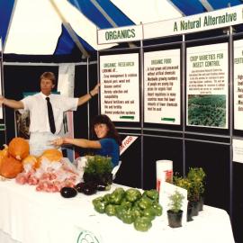Field day pumpkins - 2 of 3