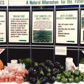 Vegetable display - 1 of 2