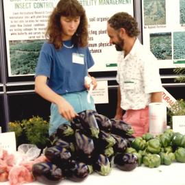 Vegetable display - 2 of 2