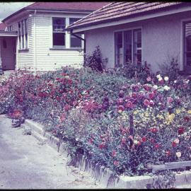 Flower bed in bloom, Campbell Block, Ruakura