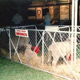 Masterton show - 1988 - 10 of 10