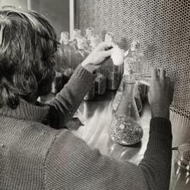 Mike Christensen - 1988 - 1 of 2