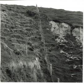 Slip sowing - 1 of 5