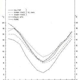 Ewes stocking the sunny and shady faces of paddocks - 3 of 4