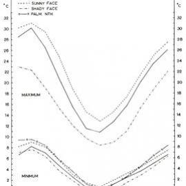 Ewes stocking the sunny and shady faces of paddocks - 4 of 4