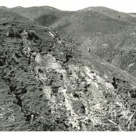 Slip sowing - 2 of 5