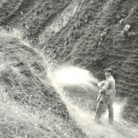 Slip sowing - 3 of 5