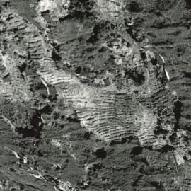 Slip sowing - 4 of 5