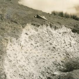 Slip sowing - 5 of 5