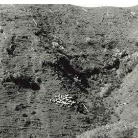 Hillside sheep - 3 of 7