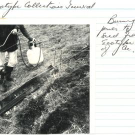 Burning of turf - 1 of 2