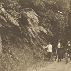Cyclists on bush track