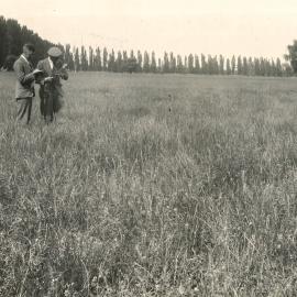 Two men in a field