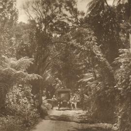 Car on bush track