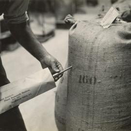 Certified seed - 11 of 11