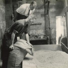 Certified seed - 7 of 11