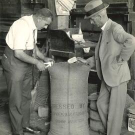 Certified seed - 10 of 11