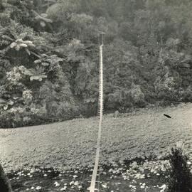 Otaki - swing suspension bridge