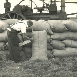 Certified seed - 2 of 11