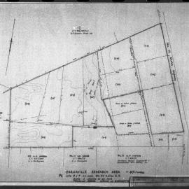 Temperature and growth relationships of bacteria in milk. 9. Plan of Dargaville research area