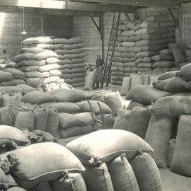 Certified seed - 4 of 11