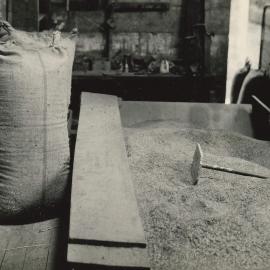 Certified seed - 8 of 11