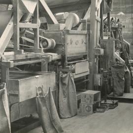 Certified seed - 5 of 11