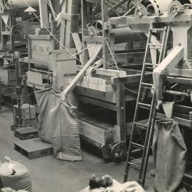 Certified seed - 6 of 11