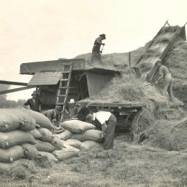 Certified seed - 1 of 11